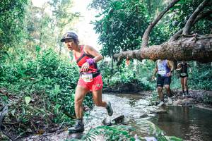 BIB: 
                            <button type="button" onclick="openModal(25433091)" class="btn btn-primary btn-sm float-right btn-popup" data-toggle="modal" data-target=".modal-high-quality">
                        <i class="fas fa-shopping-cart"></i> Add to Cart
                    </button>
                                            <button type="button" onclick="isThisMe(25433091, true)" class="btn btn-success btn-sm float-right btn-popup btn-isme hidden" data-toggle="tooltip" data-placement="bottom" title="นี่คือรูปของคุณใช่ไหม คลิกที่นี่เพื่อเอาเข้าอัลบั้ม">
                        <i class="fas fa-plus"></i> Add to album
                    </button>
                    <button type="button" onclick="isThisMe(25433091, false)" class="btn btn-warning btn-sm float-right btn-popup btn-isnotme hidden">
                        <i class="fas fa-ban"></i> Remove from album
                    </button>